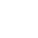 system