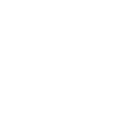 system
